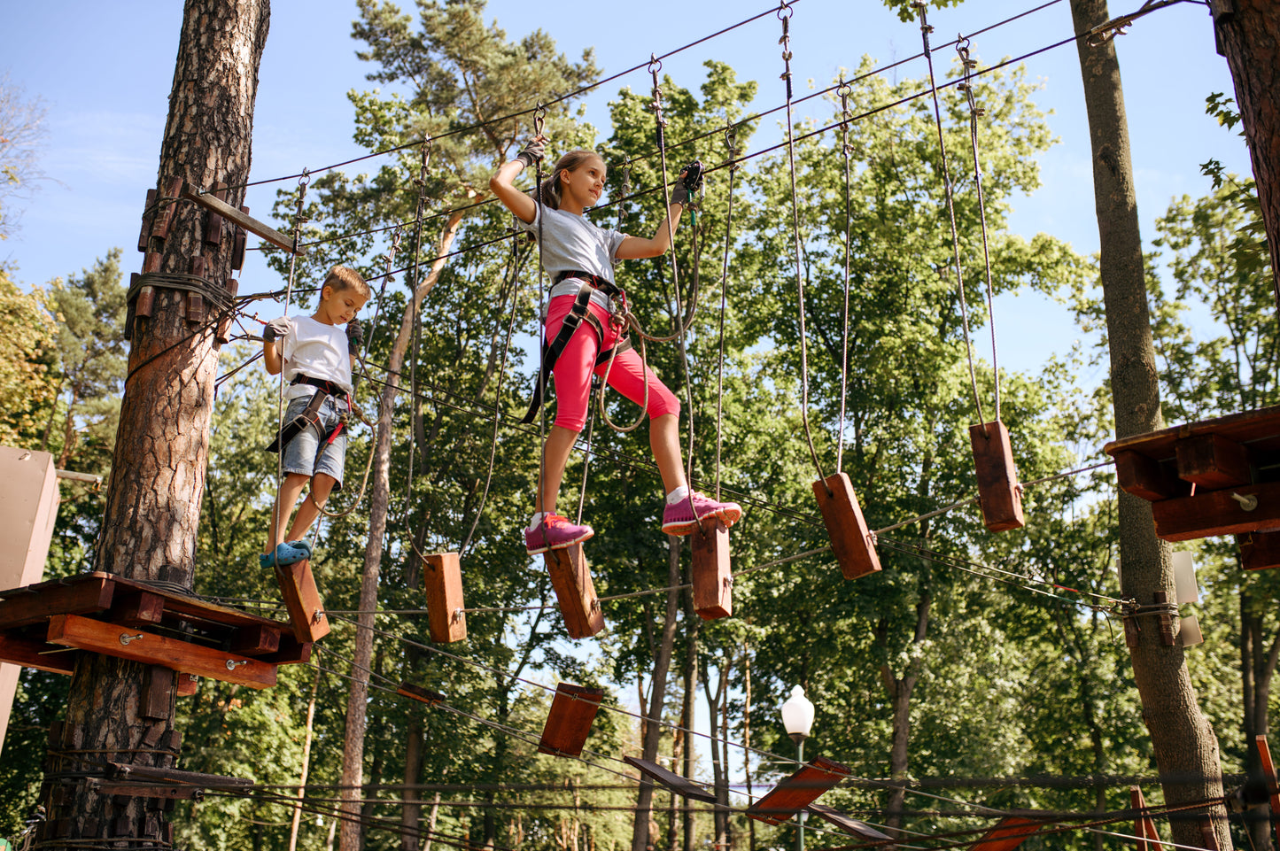 Climbing, Arborism, Trampolines & Slides